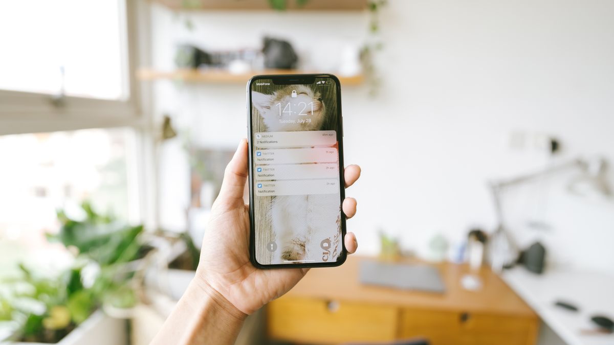 Checking a booking reminder notification on a smartphone